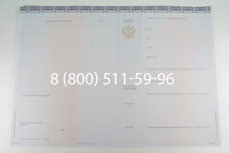 Диплом бакалавра (Киржач) 2014-2024 года в Сыктывкаре