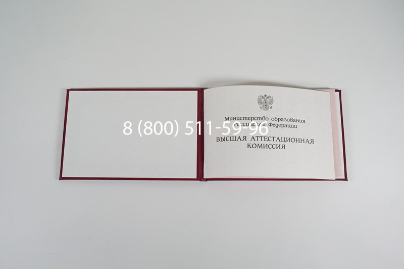 Диплом доктора наук 1995-2006 года в Сыктывкаре Диплом доктора наук 1995-2006 года в Сыктывкаре